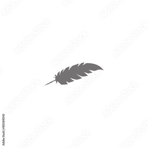 silhouette of a bird