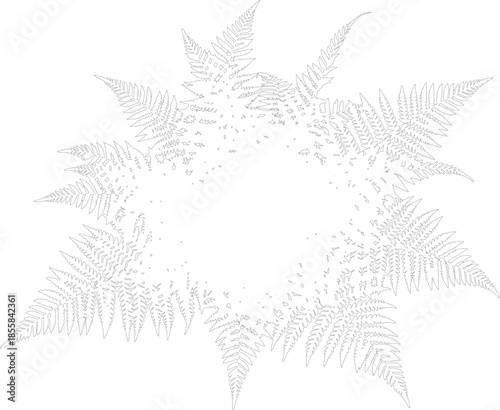 Radial Fern Leaf Line Art Frame Dissolving Vector Illustration - Monochrome Botanical Outline Design