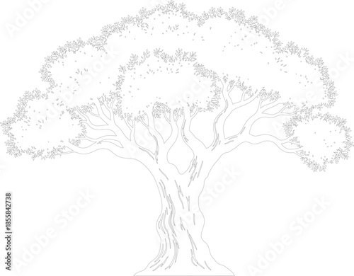 Outline drawing of a large mature tree with dense foliage and thick trunk black and white vector illustration