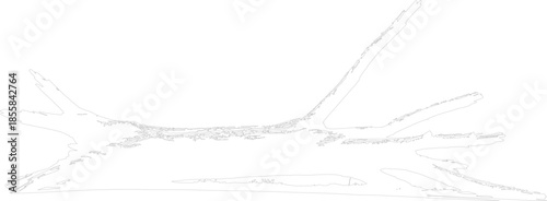 Vector outline of abstract weathered driftwood log element isolated on white background