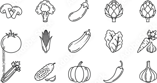 Hand drawn vegetable icons, vector food symbols, tomato, carrot, corn, broccoli, mushroom, pumpkin, garlic, pepper, eggplant, cucumber, fresh, organic, salad.
