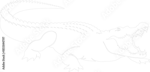 Aggressive Crocodile or Alligator Outline Vector Drawing with Open Jaws and Sharp Teeth
