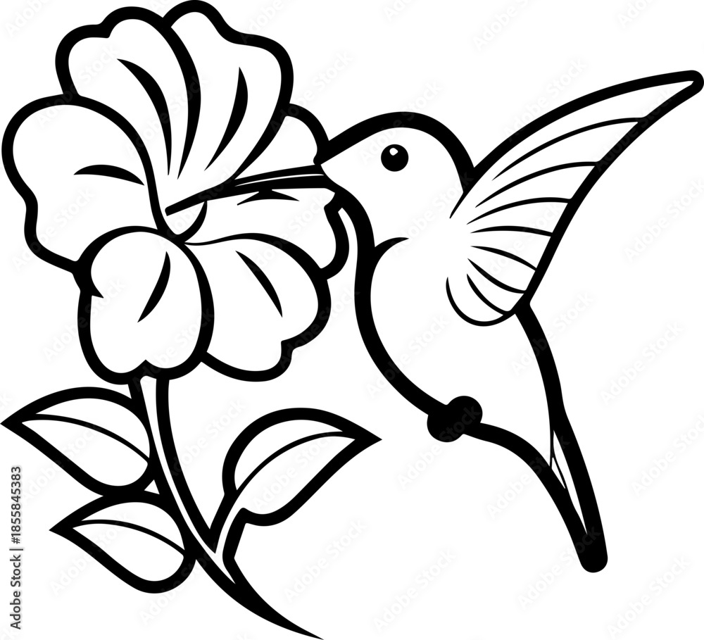 Fototapeta premium SVG vector illustration of a hummingbird and flowers.Floral Frame Design with Hummingbird Illustration