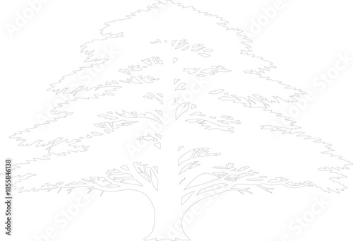 Stylized Coniferous Tree Outline Line Art Vector Illustration
