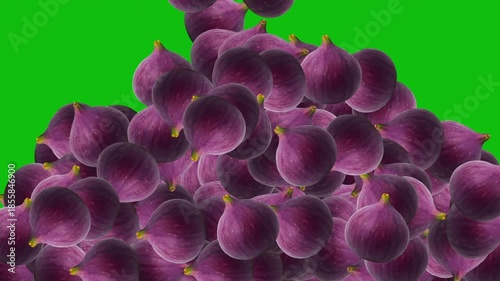 Falling fresh Fig fruits motion graphics with green screen background