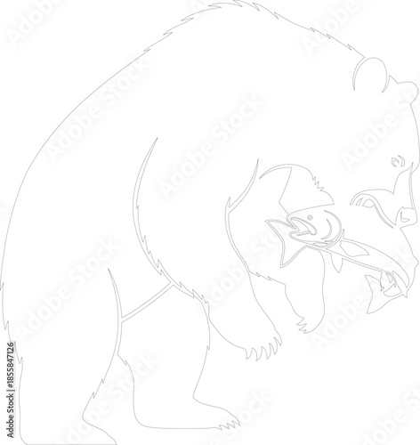Aggressive Bear Catching Salmon Outline Vector Illustration