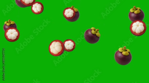 Falling fresh Mangosteen fruits motion graphics with green screen background