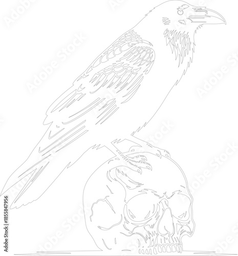 Dark Raven Perched on Human Skull Line Art Tattoo Design Vector Illustration Black and White