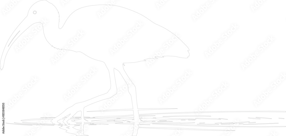 Obraz premium Minimalist line art illustration of an Ibis wading bird silhouette outline vector drawing