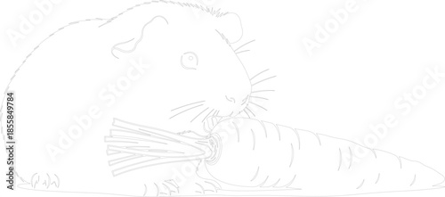 Guinea Pig Eating Carrot Line Art Vector Illustration