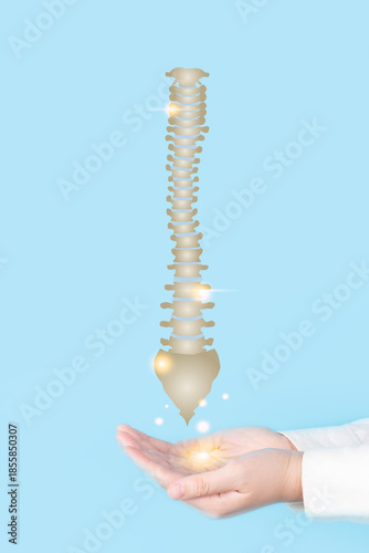 Doctor hands holding anatomy of spine for diagnosis over blue background. Awareness of herniated discs, scoliosis, and spinal stenosis.