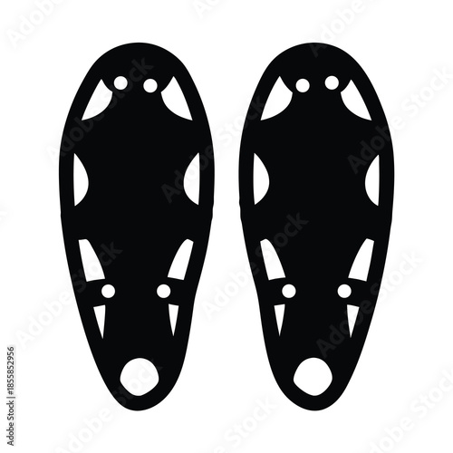 A pair of stylized black and white snowshoes winter sports equipment