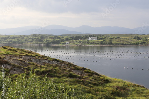Parc ostréicole dans la péninsule de Beara dans le comté de Cork en Irlande