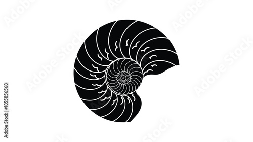 Black nautilus shell silhouette icon symbol flat minimalist isolated on white background
