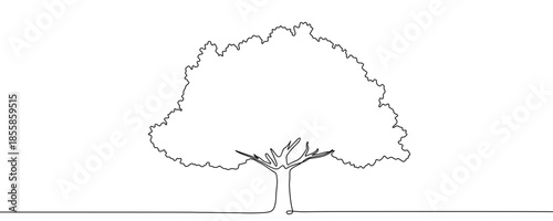 Spreading deciduous tree with a lush crown. Drawing in one line art style with editable black stroke on a white background. Vector illustration.