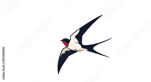 A sleek illustration of a barn swallow in elegant flight, featuring its dark blue feathers, red throat, and deeply forked tail on a white background.