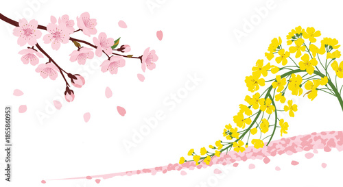 Beautiful spring illustration featuring delicate pink cherry blossoms and vibrant yellow rapeseed flowers, symbolizing the arrival of spring.