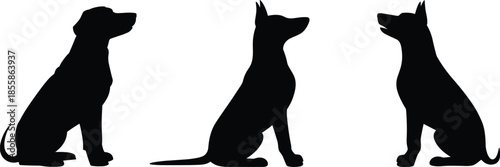 Three Black Silhouettes of Dogs Sitting and Looking Upwards canine