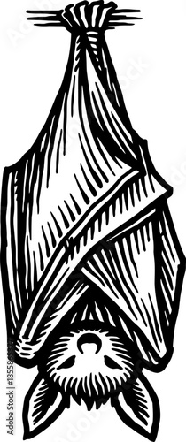 Detailed Illustration of a Bat Hanging Upside Down with Wings Folded in Black and White