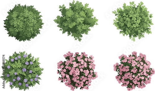 Diverse Trees, Bushes, and Plan View Foliage for Landscaping, Architectural Plans, and Seasonal Design Projects.