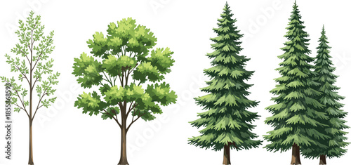 Diverse Trees, Bushes, and Plan View Foliage for All Seasons, Landscaping Projects, and Architectural Site Layouts.