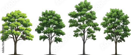 All-Season Trees, Bushes, Foliage, and Architectural Plan View Elements Collection.