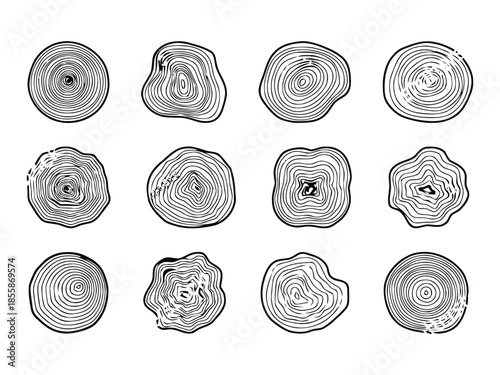 Tree Trunk Rings Organic Line Art Collection. Hand Drawn Tree Rings Vector Illustration