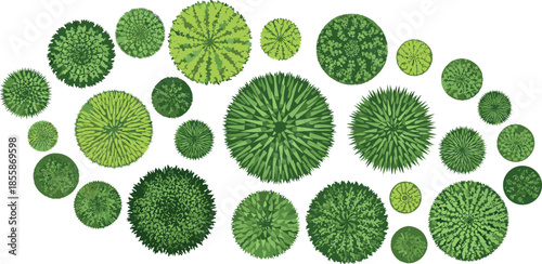 Diverse Collection of Top View Green Trees and Bushes for Architectural Landscape Design Plans, Garden Layouts, and Vegetation Mapping Assets