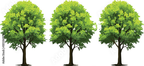 Large Set of Detailed Top View Green Bushes and Shrubs for Architectural Landscape Plans, Garden Layouts, and Realistic Vegetation Design Assets