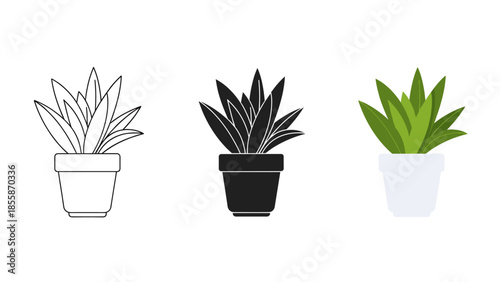 Three potted plants with different color schemes Vector