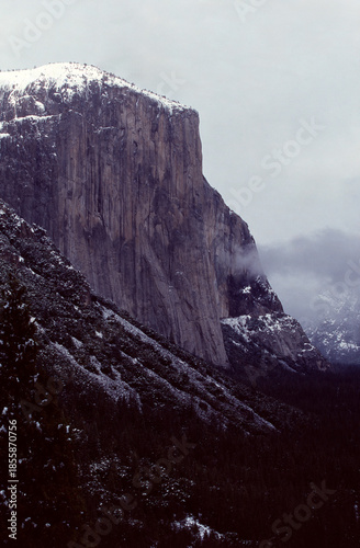 Yosemite National Park El Capital