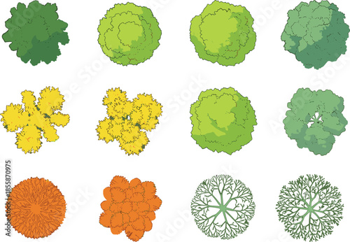 Large Collection of Top View Green Shrubs and Circular Plants for Architectural Landscape Plans, Garden Maps, and Vegetation Design Assets