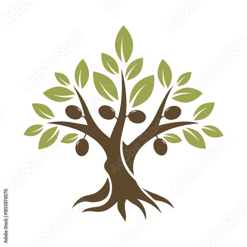 Stylized Olive Tree Vector Illustration - Olive Tree Logo