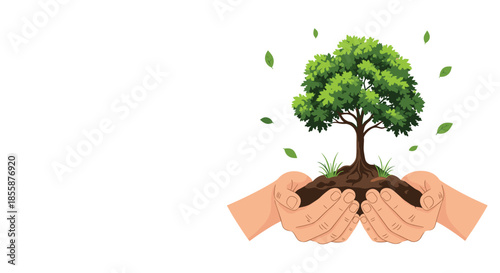 Cupped hands holding a young green tree with soil for an environmental conservation and reforestation concept.