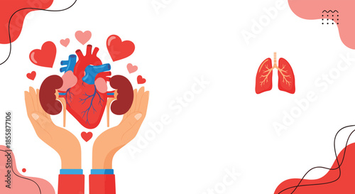 Human hands carefully holding vital internal organs like heart and kidneys to represent health awareness and care.