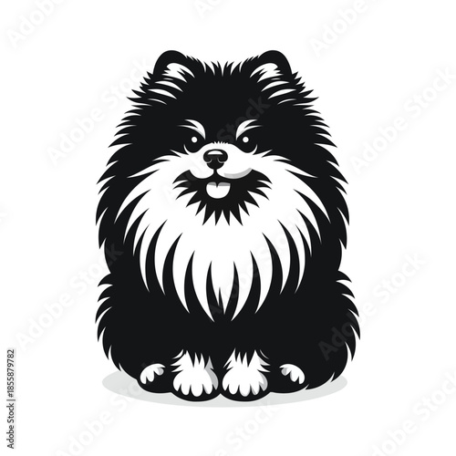 Black and white pomeranian dog sitting on white background vector
