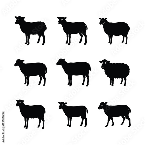 Sheep Silhouette Collection: An artistic array of sheep silhouettes, each a stark representation of the animal, poised and ready to make a statement.