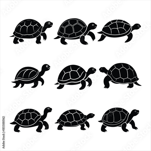 Turtle Silhouette in Action: Nine distinct turtle silhouettes traverse a space, illustrating the grace and uniqueness of each creature. A symbol of persistence.