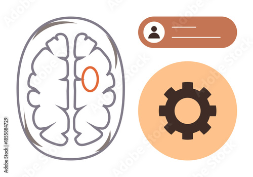 Brain diagram with marked area represents cognitive focus user profile and gear icon symbolize functionality, thought processing, and mental activity. Ideal for health, neuroscience, education