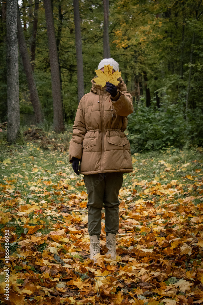 Naklejka premium in autumn forest
