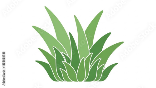 A vibrant green plant with long sharp leaves on white background for nature and ecology concepts