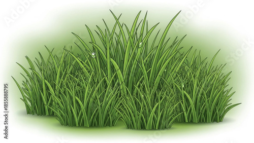 A lush green grassy area with long blades of grass on a white background, nature's serenity and beauty, symbolizing growth and harmony with a calming atmosphere