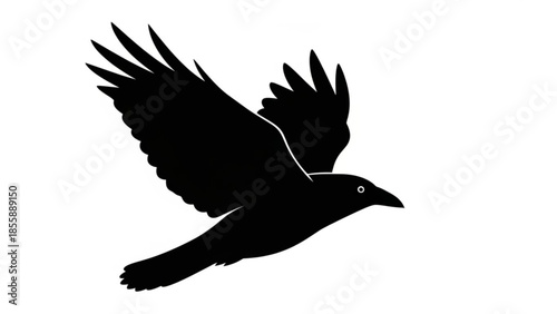 Black silhouette of a bird in flight with wings spread wide on white background