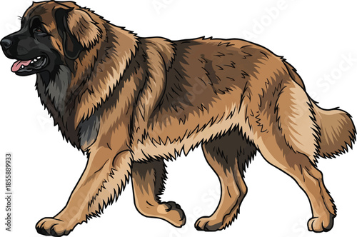 Leonberger dog walking relaxed trotting gait movement side view
