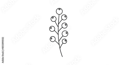 Minimalist black and white line art illustration of a plant stem with round berries isolated on a clean white background.