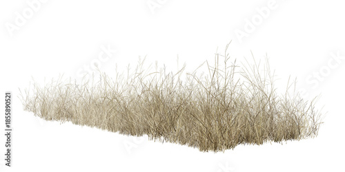 Tablou pe pânză grass isolated on white/strip of dry wild grass isolated on a white background, showing natural texture and earthy tones, ideal for nature, landscape, and environmental design concepts