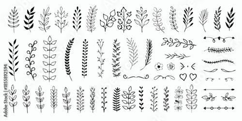 Christmas dividers set. Hand drawn ornamental winter holiday text decor border, Xmas floral underline, ornamental wedding card doodle separator with fir and holly branches. Vector isolated set