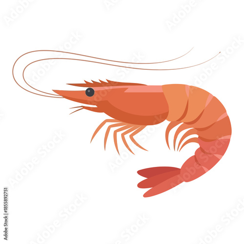 shrimp isolated on white background