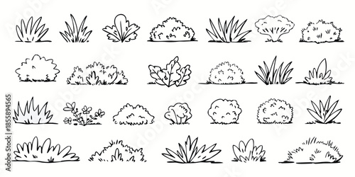 Grass and bush outline tree doodle for lawn vector cute landscape with hand drawn plant and minimal silhouette. Greenery line art for jungle, park and garden. Cartoon sketch and scribble vector set
