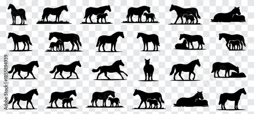 Minimalist vector illustration featuring a large collection of black horse silhouettes in diverse poses, including standing, walking, resting, and mare-with-foal scenes. Clean solid shapes with smooth